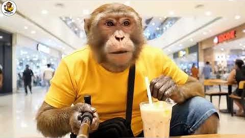 Baba bunty 1st Vlog || Ai monkey Vlog || I Will go to the Mall || ai monkey shorts