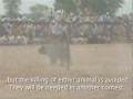 Bear Baiting 17th July 2009 - WSPA