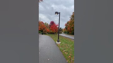 Thác nước hùng vĩ Niagara Falls bên Mỹ #shortvideo #niagarafallsusa #niagarafalls #shorts