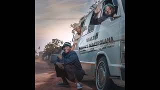 Natiey Lepaka  Bjaleni skinny Malepolane Feat Patron West Jojo Manjaro Gallarbass U0026 Steel