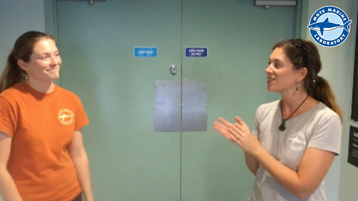 Behind the Scenes | Water Chemistry with Rachel Ay...