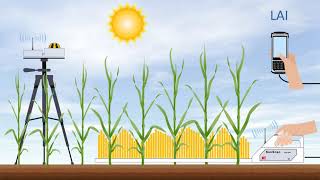 Delta-T Devices SunScan System - Measures P.A.R and Calculates Leaf Area Index in Plant Canopies