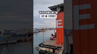 낚시 숙박 1인 5만원! 가성비 좌대낚시 #아이와체험 #낚시여행 #안면도 갑오징어 6마리 잡았어요 screenshot 2