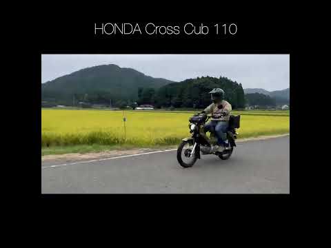Honda Cross Cub