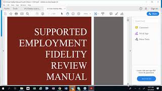 DBHR IPS SE Fidelity Reviewer training part 2