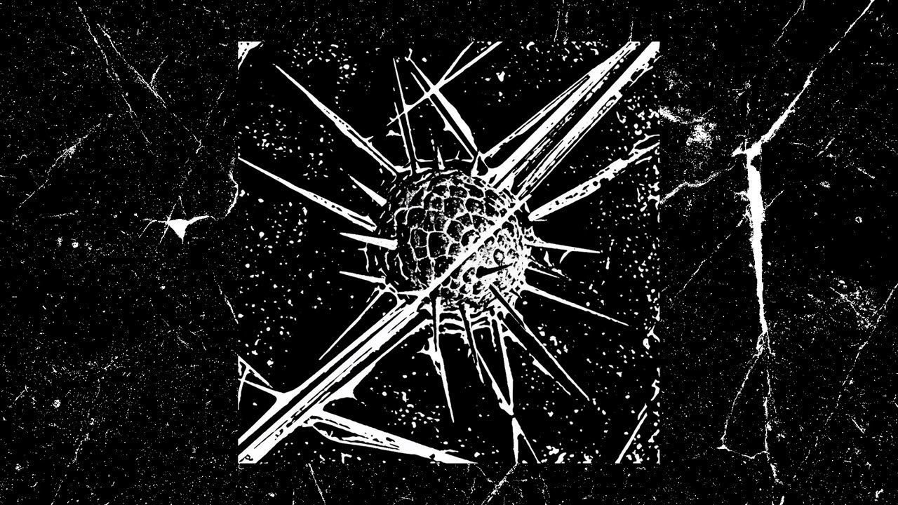 6. Datura Inoxia - Miseria (Alexander Skene Remix)