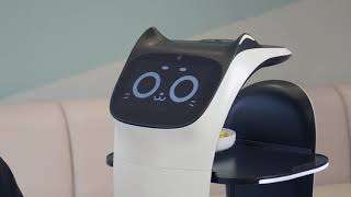 BellaBot Features for delivery food & change place to place
