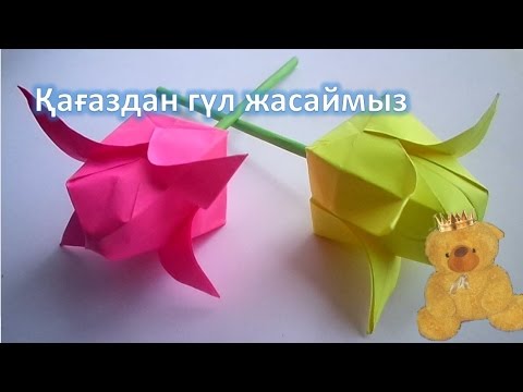 Бейне: Баланы «кенгуруда» қалай киюге болады