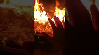 The Best Wood To Burn In A Fire Pit