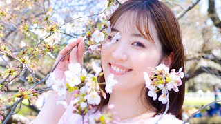 2024年の桜も綺麗に咲いてました❀´-