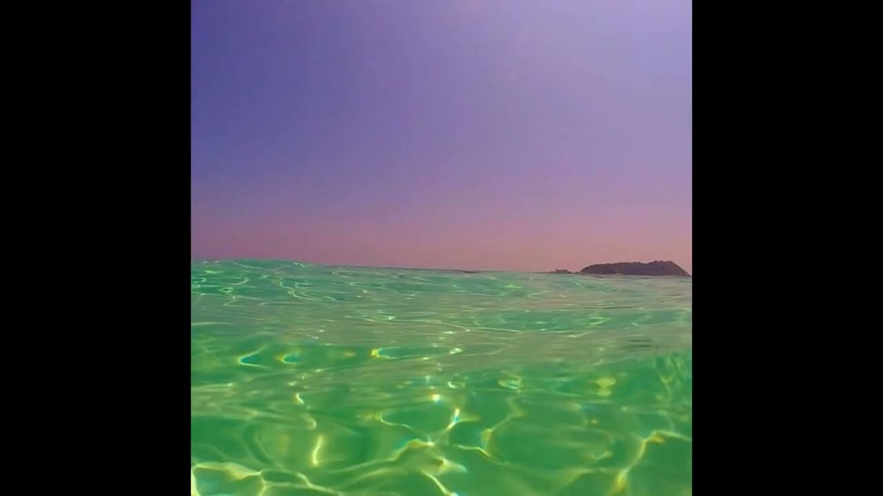 [FREE] Playboi Carti x Pierre Bourne Type Beat - 