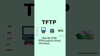 FTP, TFTP &amp; NFS Explained | Application Layer Protocols in 60 Seconds | CCNA | #ccna #careerskills
