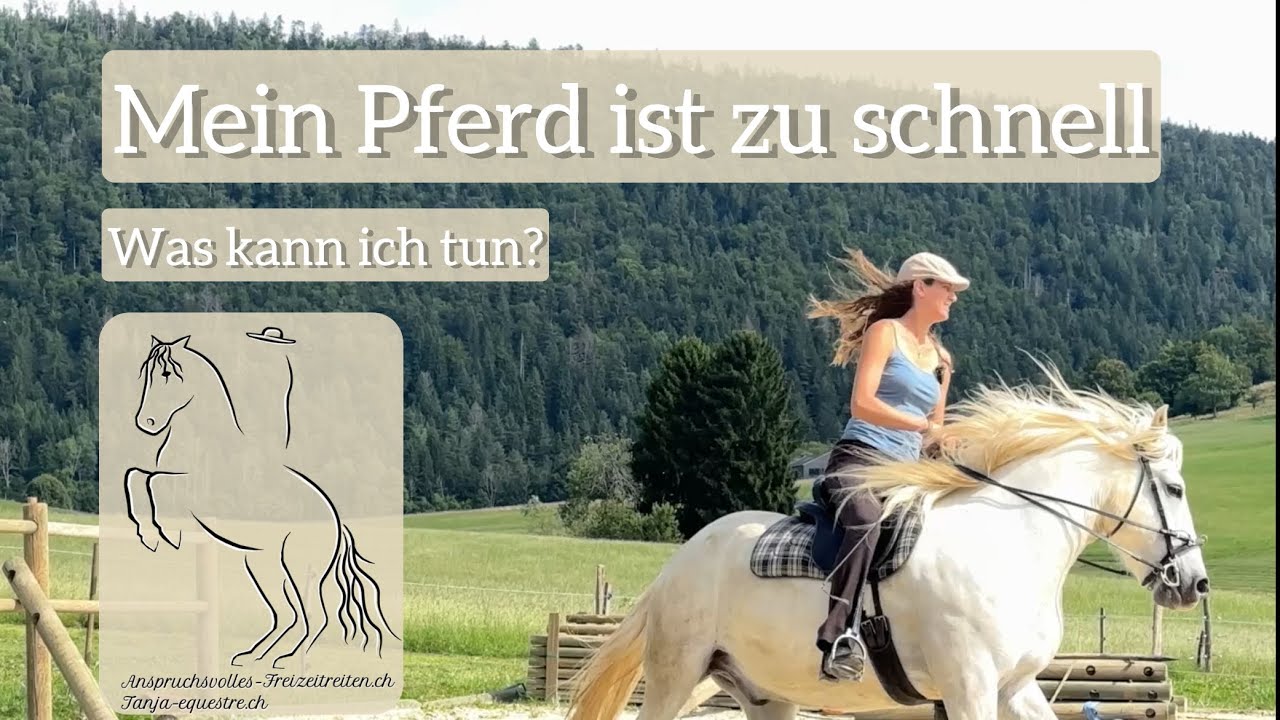 Mein Pferd ist zu schnell – was tun?