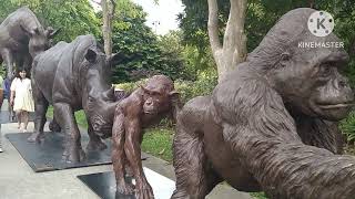 Let's explore Animal kingdom in Singapore. Highlights SCENIC attraction