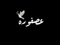 حالة واتس شاشه سوداء عصفوره 🐦 بتنقل الكلام 🗣️ ده مش رجوله 💪 / محمد زيزو - زعبلاوي