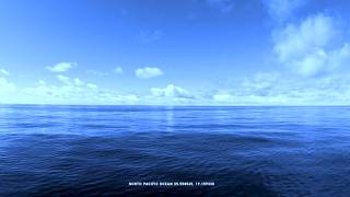 awwa – Sea Me (Official Video)