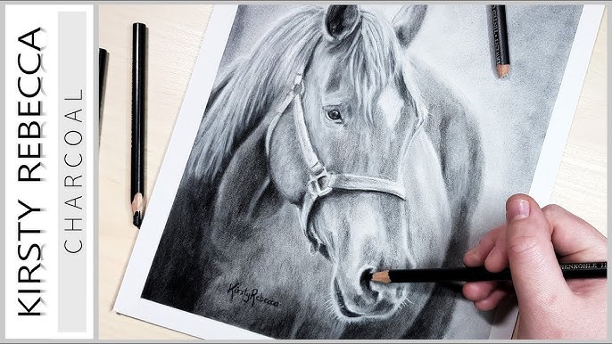 How to Draw a Realistic Horse Using Caran d'Ache Luminance and