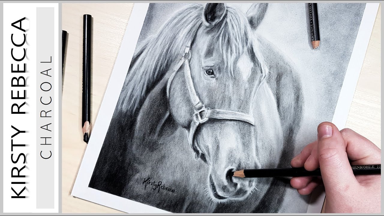 How to draw a horse // CHARCOAL Tutorial // Step by Step! - YouTube