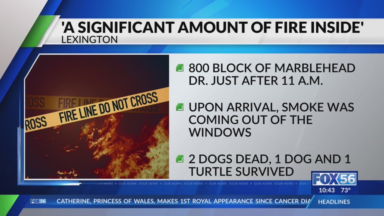 Fire breaks out in Lexington home, leaving 2 dogs dead - YouTube