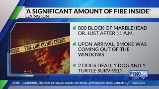 Fire breaks out in Lexington home, leaving 2 dogs dead