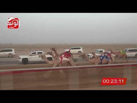الشوط 5 الطياره ل سالم الدهيمي غافان الخييلي 2 11 شارة الصندوق 2024 06 23 فطامين سويحان