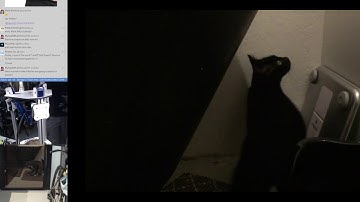 Multi-cat, donation unboxing, block printing, bot healing @scanlime-in-progress