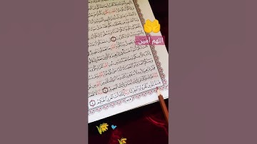 سورة الممتحنة آية 4 الشيخ ياسر الدوسري #القرآن_الكريم#quran#short 🐦