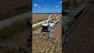 Httpsyoutubecomshortsdy0ps9grvkssiudgmgllfr4ndxyfp