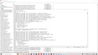 Bypassing A Screenshare To Rancio (CEO Screenshare Comunity) With Drip Lite