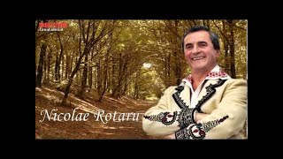 NICOLAE ROTARU - GREU E DRUMUL PRIN PADURE, ZOOM STUDIO