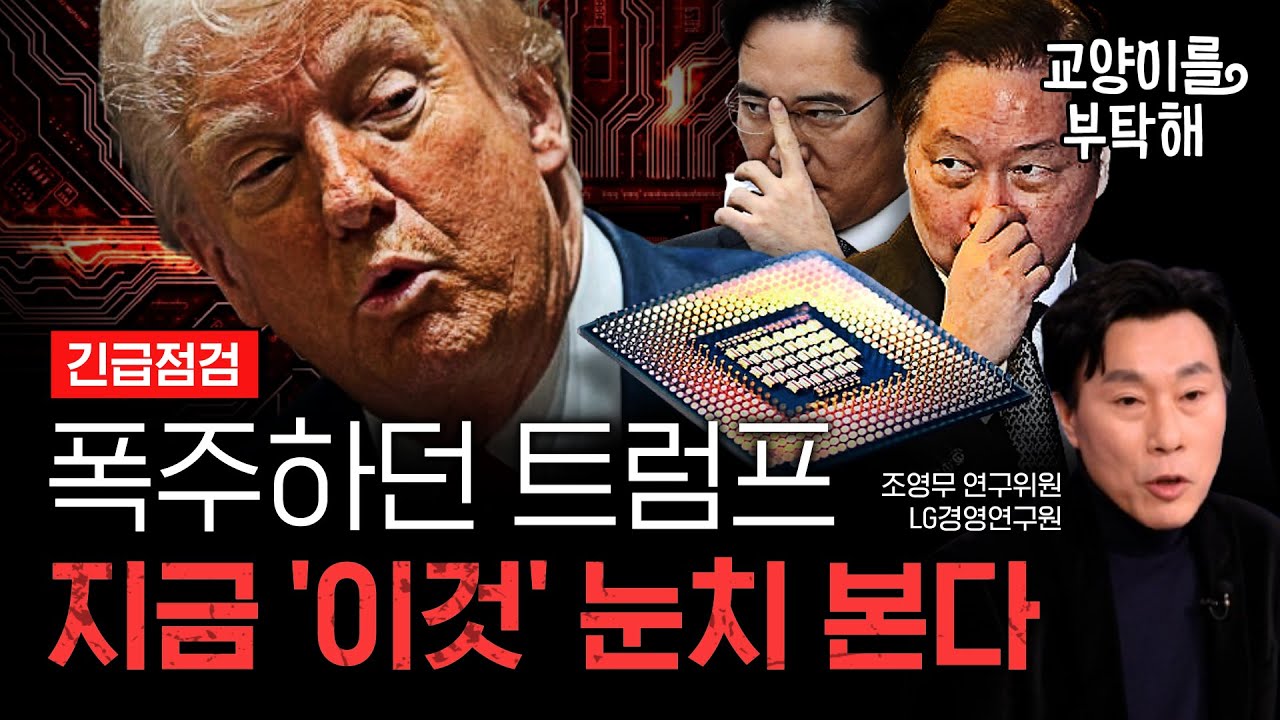 [지식뉴스 EP.13] 폭주하던 트럼프가 지금 ‘오락가락’하는 진짜 이유...“'이것‘ 눈치 봐” (ft.조영무 LG경영연구원 연구위원) / 교양이를 부탁해