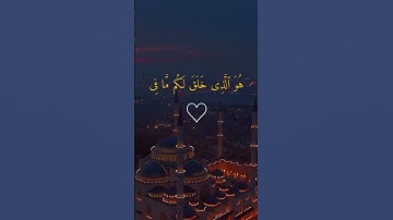 #القارئ #ماهر_المعيقلي راحه نفسيه 🧡 #القرآن_الكريم