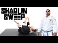 Shaolin Sweep – Vitor Shaolin’s Iconic Secret Weapon 🥋✨