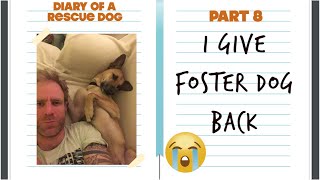 I give foster dog back to the owner  - Diary of a Rescue dog pt 8