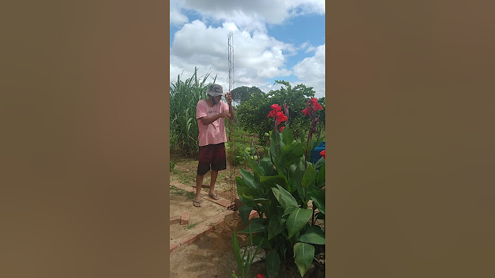 começando a realizar um sonho!😍
