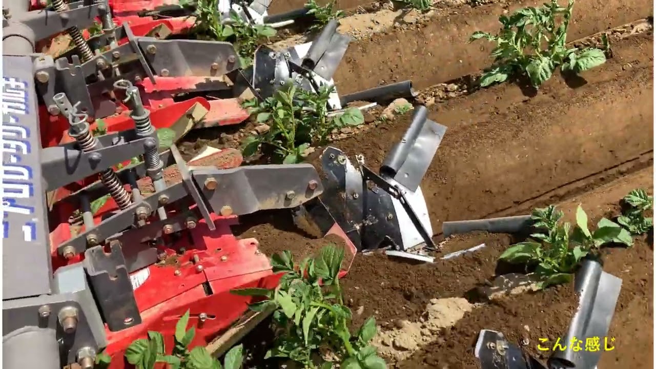 馬鈴薯培土板サタナス【慣行培土編】