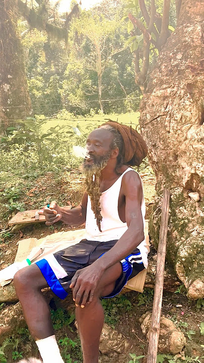 Jamaican Rasta Full Of Power #reggae #bobmarley #reggaemusic #music #rastafari #rastamusic  #reggae