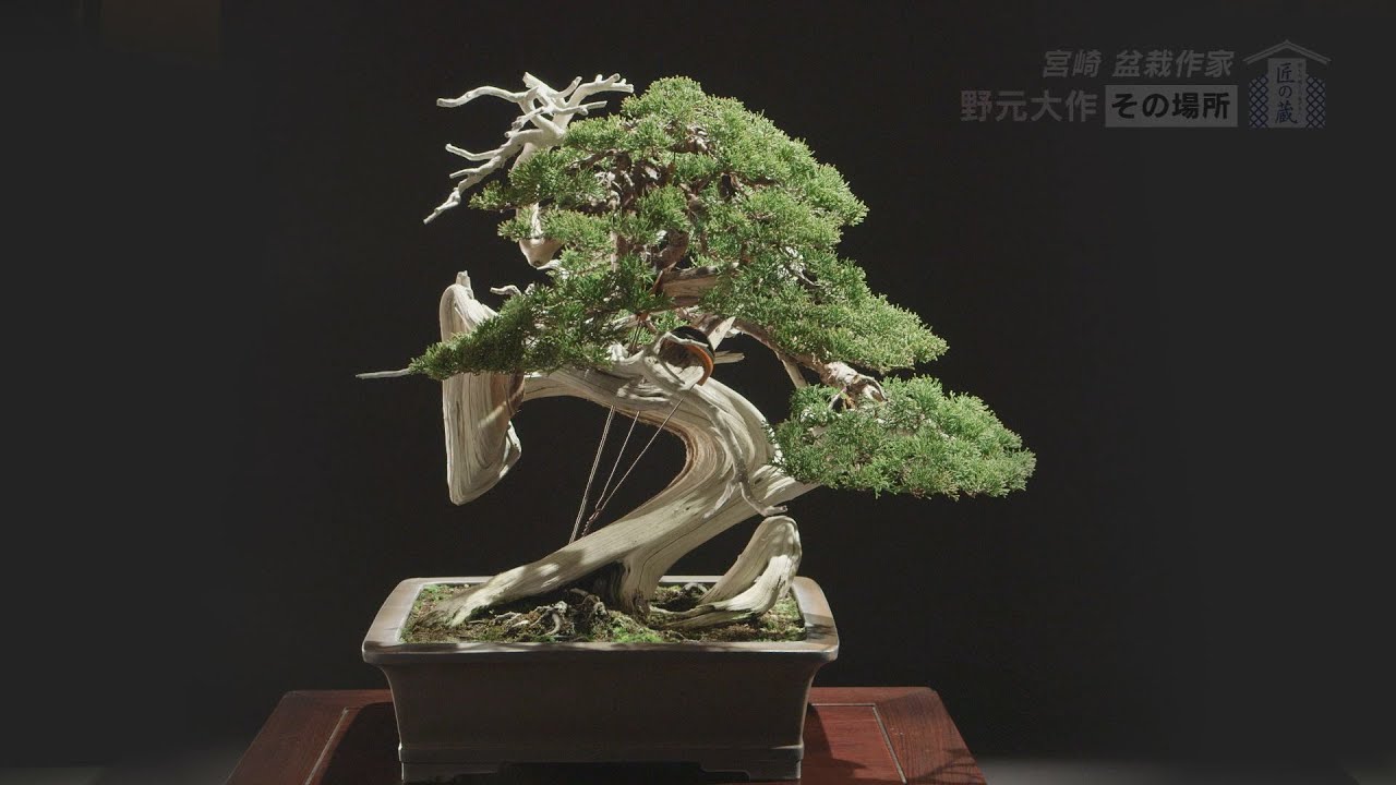 公式】「匠の蔵 ―創る人、開く人、発する人― 」野元大作（3） | TNC