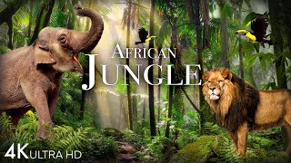 African Jungle 4K  The World's SecondLargest Tropical Rainforest | Scenic Relaxation Film