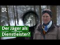 Wald, Wildverbiss und Jagd: Schießt der Jäger genügend Rehwild? | Unser Land | BR