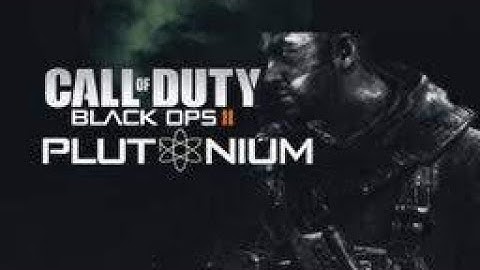 Call of Duty: Black Ops 2 MP Plutonium offhost