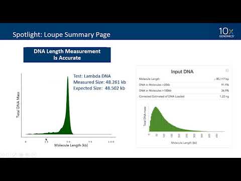 10x-pert Workshop | HMW DNA Sample Preparation Techniques and Best Practices