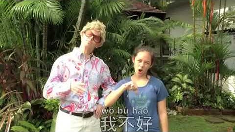 How are you  你好吗？（nǐ hǎo ma ）by Groovi Pauli   Friends 2010
