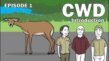 CWD Series Episode 1 - Introduction