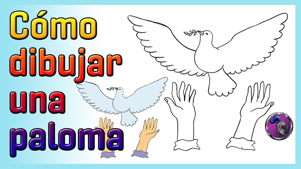 🕊️Cómo dibujar UNA PALOMA 🕊️How to draw A DOVE ✏️😇