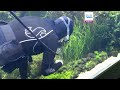 Wystawa „Zanurzony las” znika z lizbońskiego oceanarium