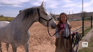 La Yeguada Fernández De La Vega Tiene Nuevos Habitantes Ancha Es Castilla-La Mancha