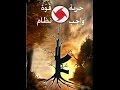 مسرحية وردة وبندقية الجزء الثاني