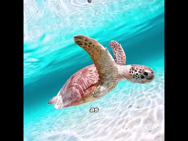 Seven animals that have broken some of the most unbelievable records on Earth. #animals  #usa