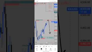 risk free group signal Sanju indicator 💯✨